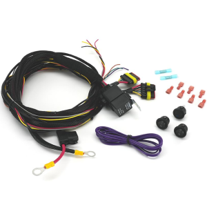 Lazer Lamps Two-Lamp Wiring Kit (Beacon, 12V) PN: 2L-LP-6C-120